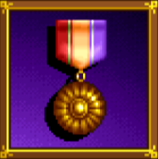 Medal of Courage Image